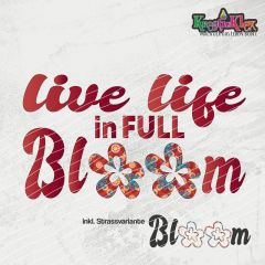 DL FullBloom / KK