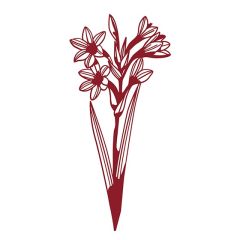 DL Gladiole PM