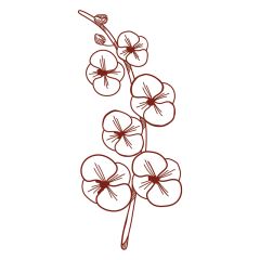 DL Kirschblüte PM