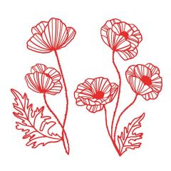 DL Klatschmohn PM