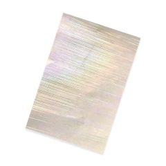 Vinyl Holo Rain
